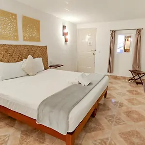 Blatha Tropical , Isla Holbox Mexiko